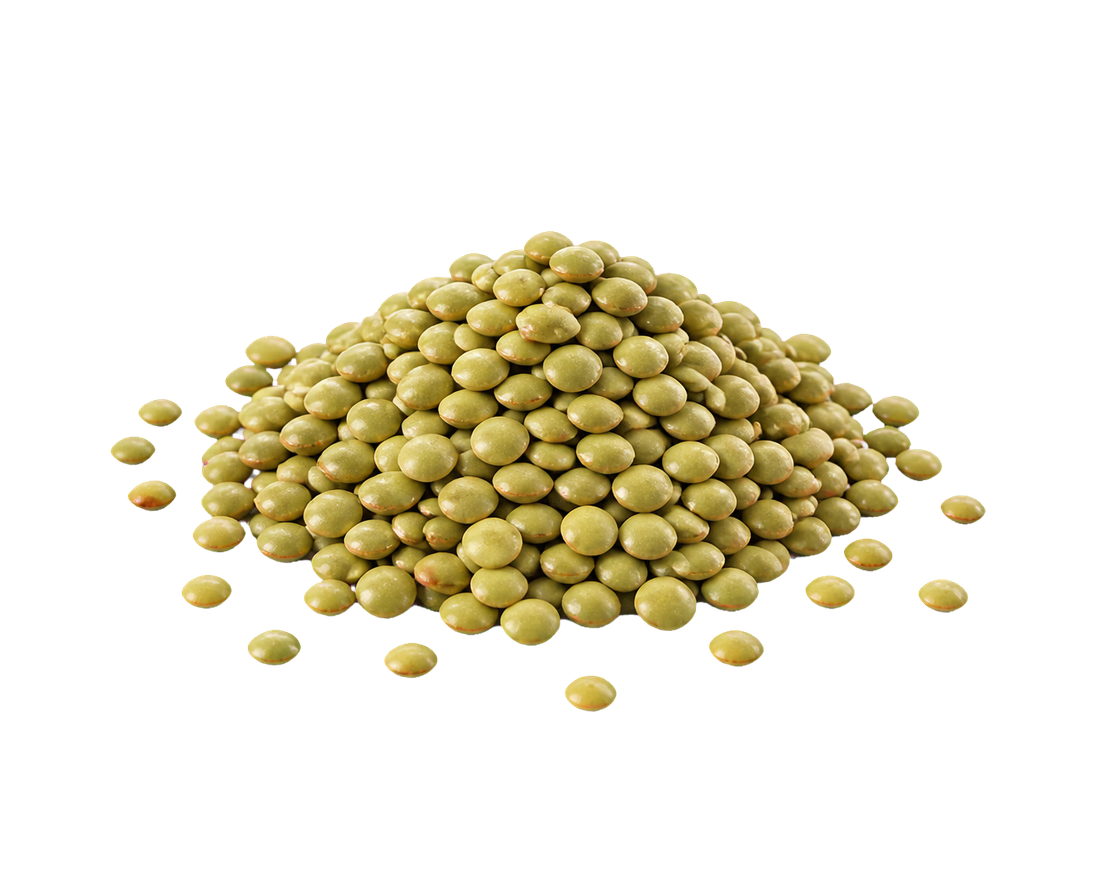 Isolated Green Lentils ingredient selection