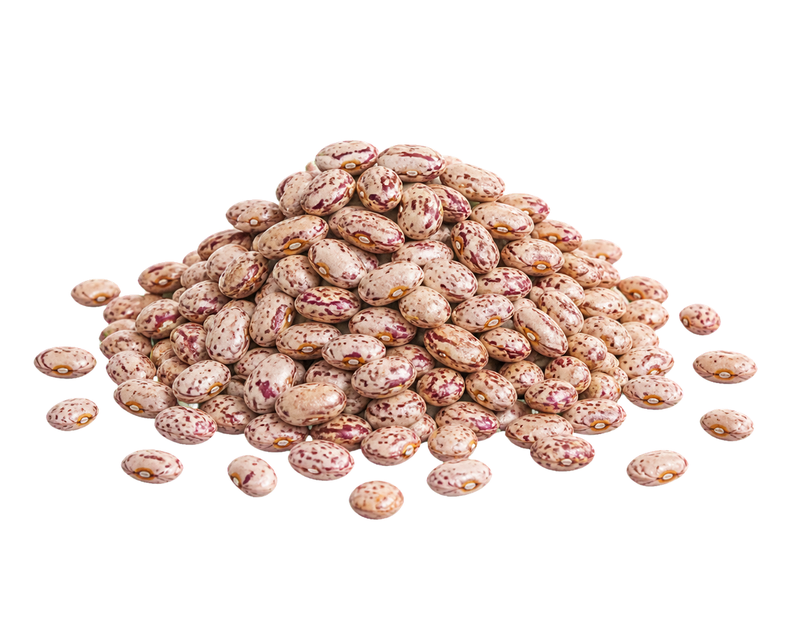 Isolated Pinto Beans ingredient selection