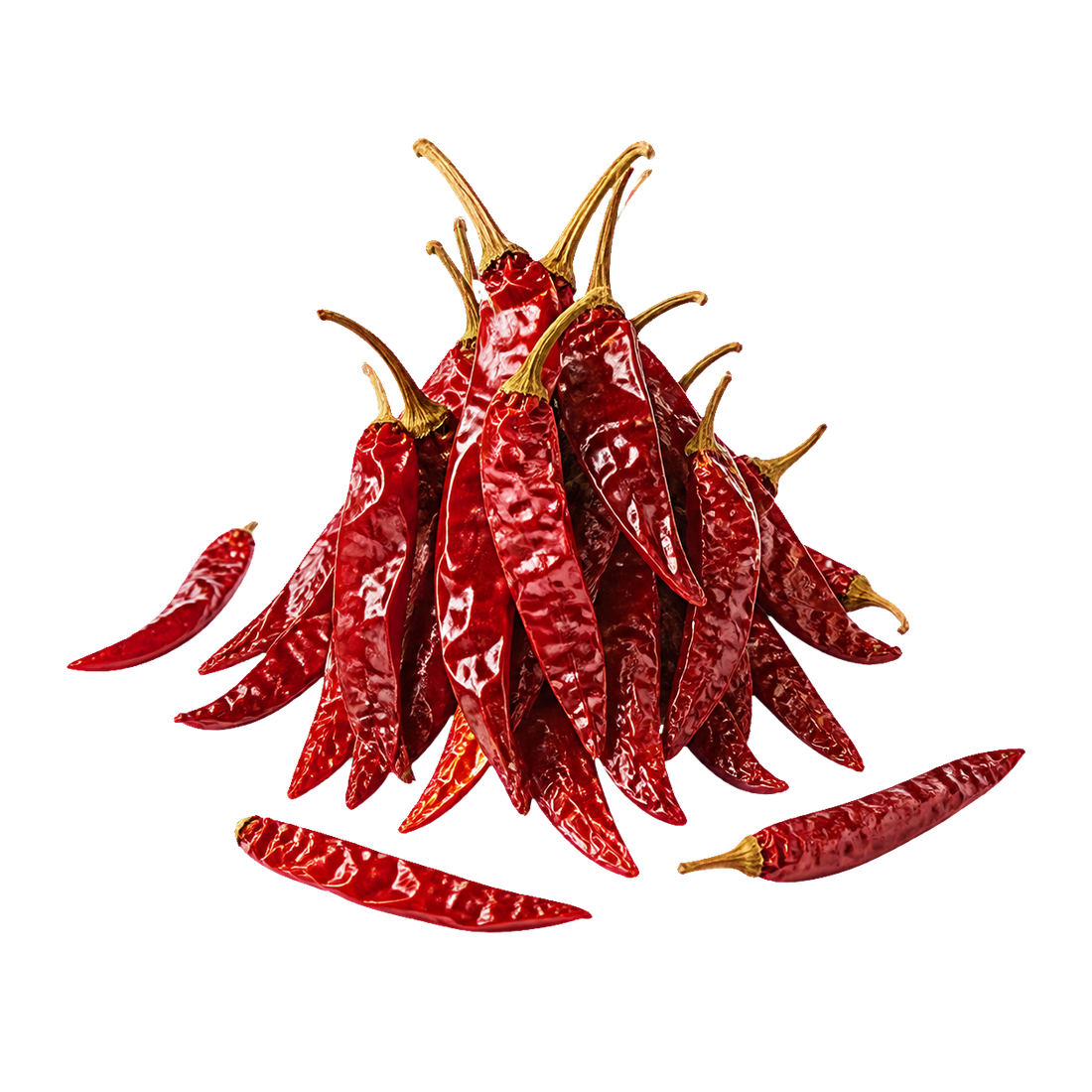 Isolated Dried Red Chilli ingredient selection