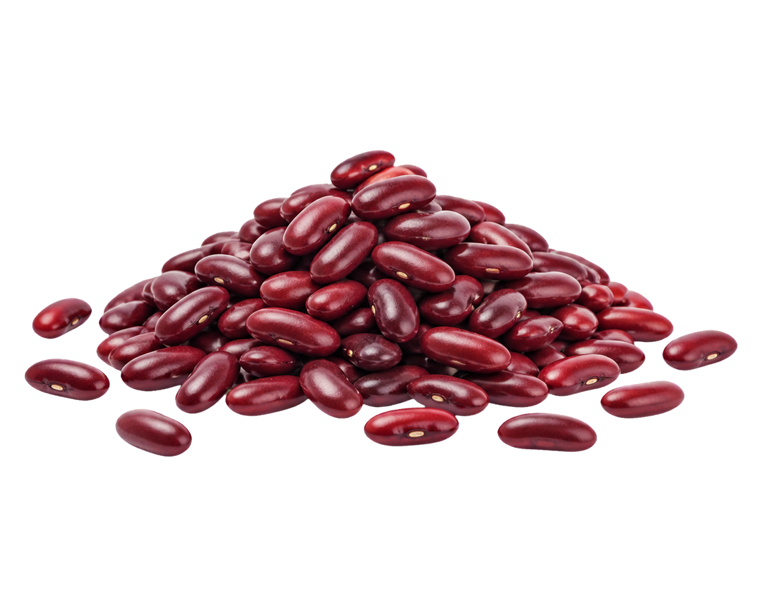 Isolated Red Kidney Beans ingredient selection