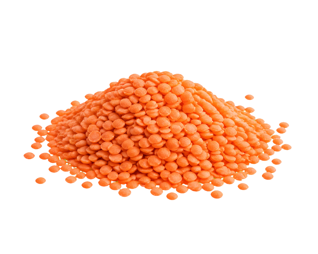 Isolated Red Lentils ingredient selection