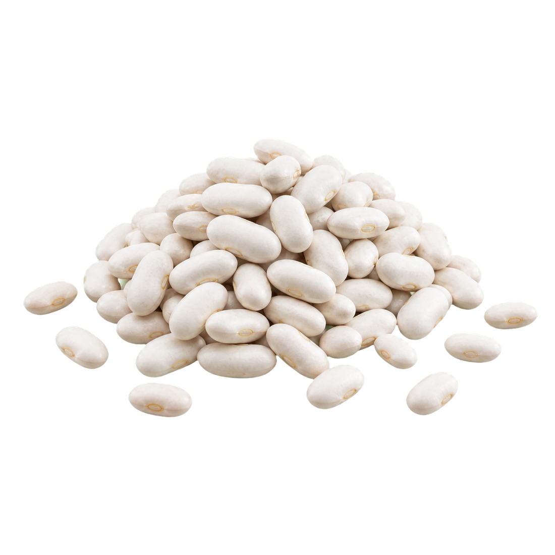 Isolated White Beans ingredient selection